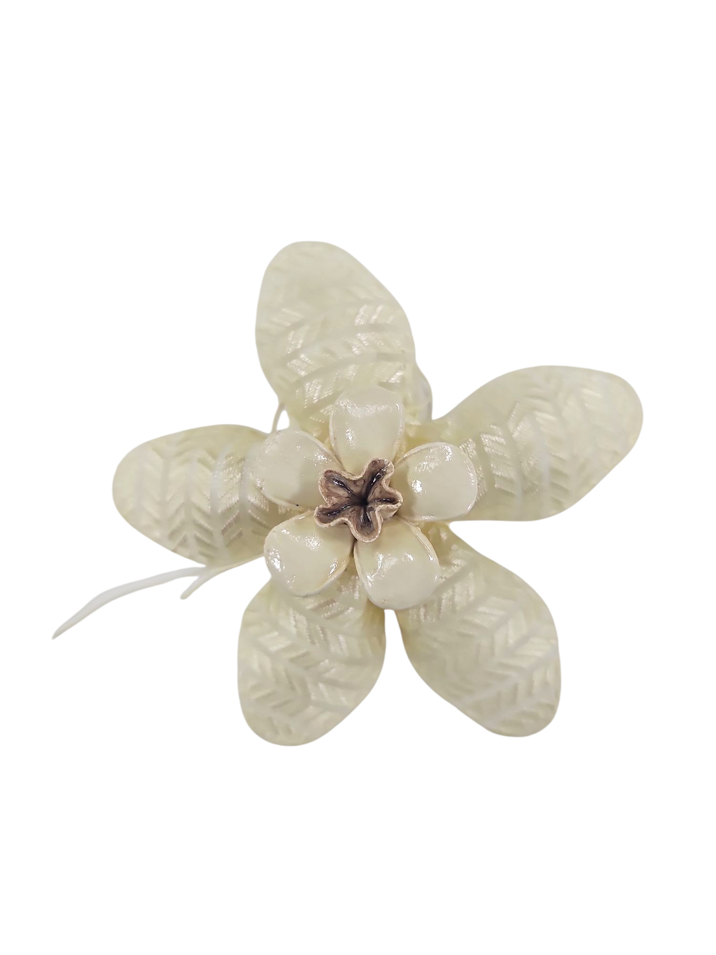 Confetti Flowers Almond Bomboniere, Ribbon Jordan Almonds Rolls Ivory Vanilla #H950/60