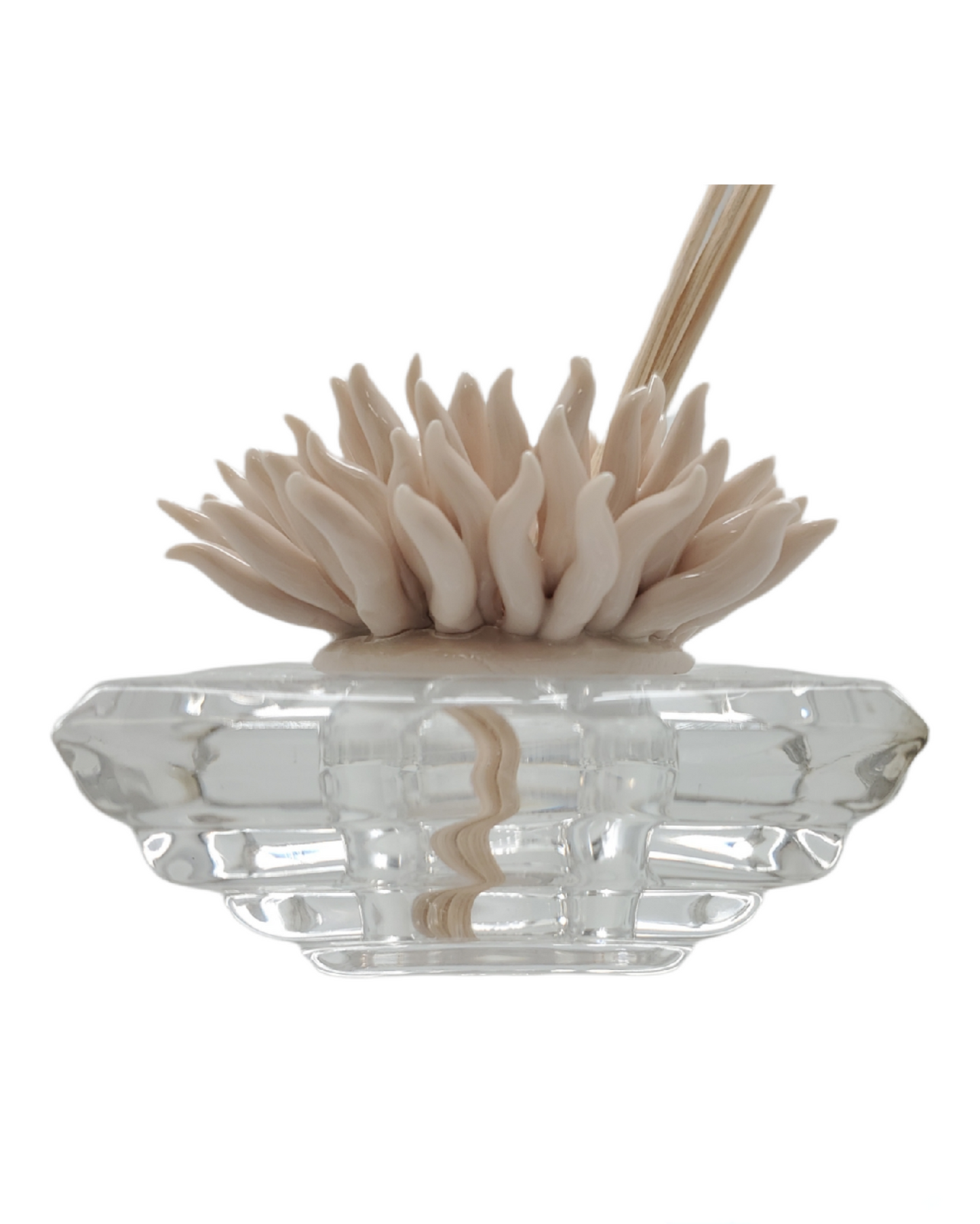 Debora Carlucci Ivory Coral Crystal Base Aromatherapy Diffuser w/ Scent #DC2685