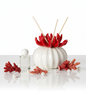 Difusor de láminas de coral Debora Carlucci con fondo de porcelana esmerilada #DC4989R
