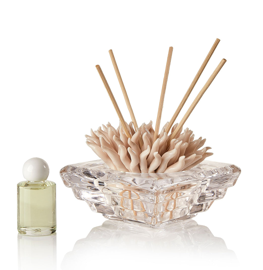 Debora Carlucci Difusor de aromaterapia con base de cristal de coral marfil con aroma #DC2685