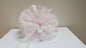 Rete per biberon 25 pezzi / borsa # 61163