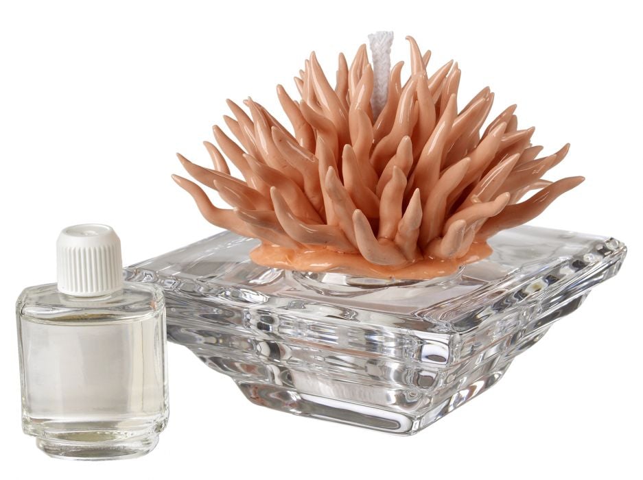 Difusor de aromaterapia con base de cristal de coral melocotón Debora Carlucci con aroma #DC2687