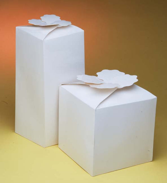 Scatole regalo piccole/alte per papillon B-001