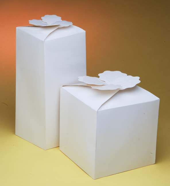 Cajas de regalo con pajarita pequeñas/ altas B-001