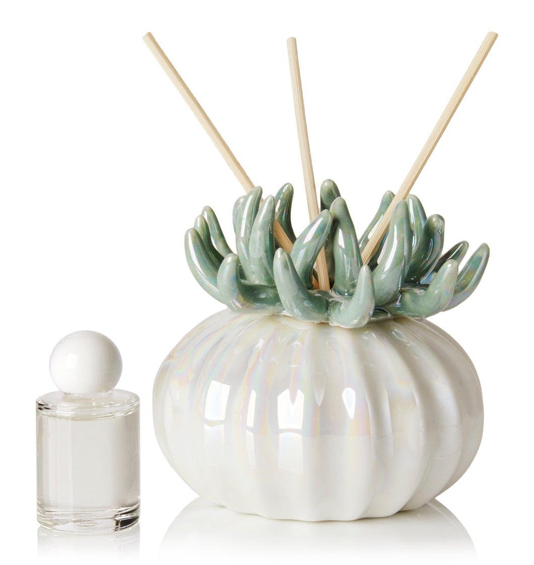 Debora Carlucci Coral Reed Teal Diffuser W/ Frosted Porcelain Bottom #DC4989T
