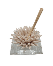 Cargar imagen en el visor de la galería, Debora Carlucci Difusor de aromaterapia con base de cristal de coral marfil con aroma #DC2685
